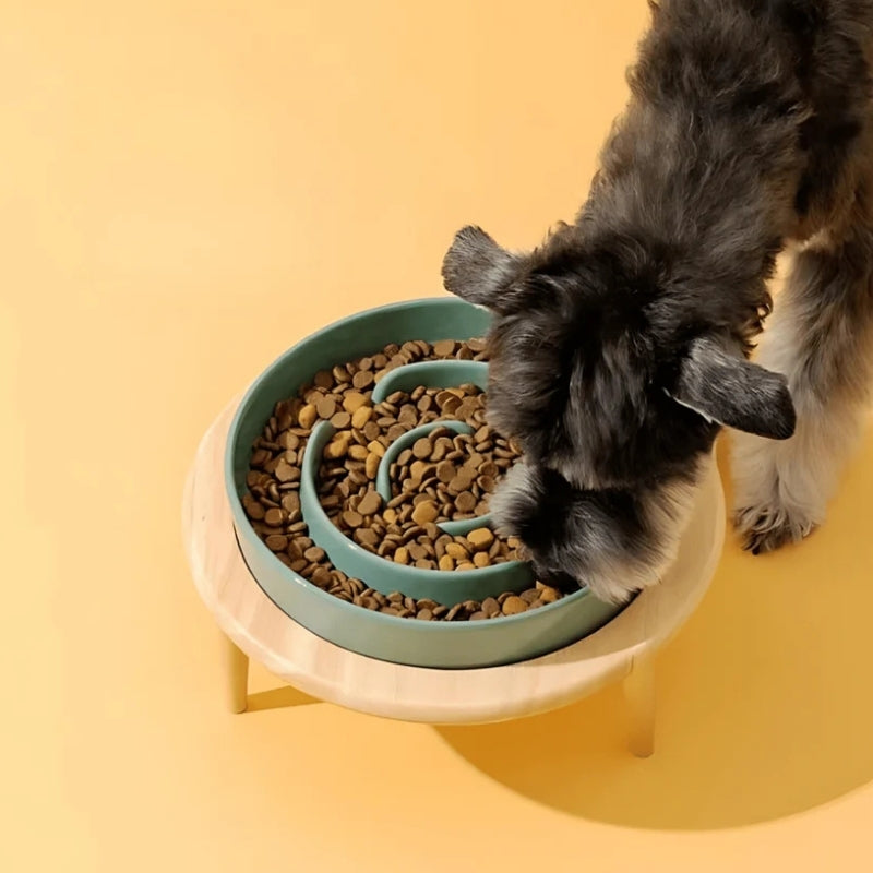 PetEase – Slow feeder kom voor honden en katten met standaard
