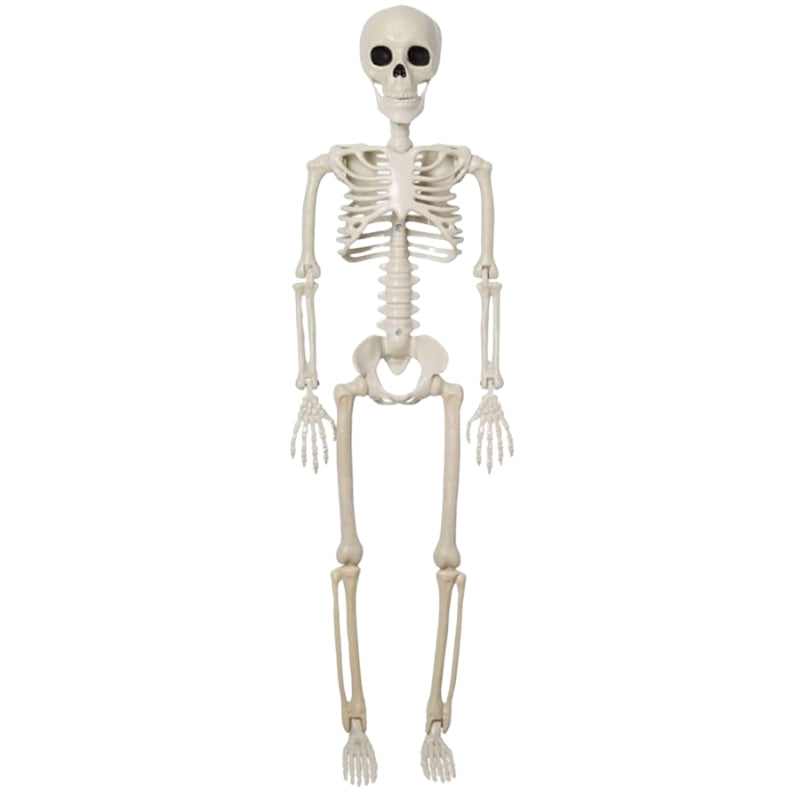 BoneBuddy – Życiorysowy szkielet na Halloween i dekoracje sezonowe