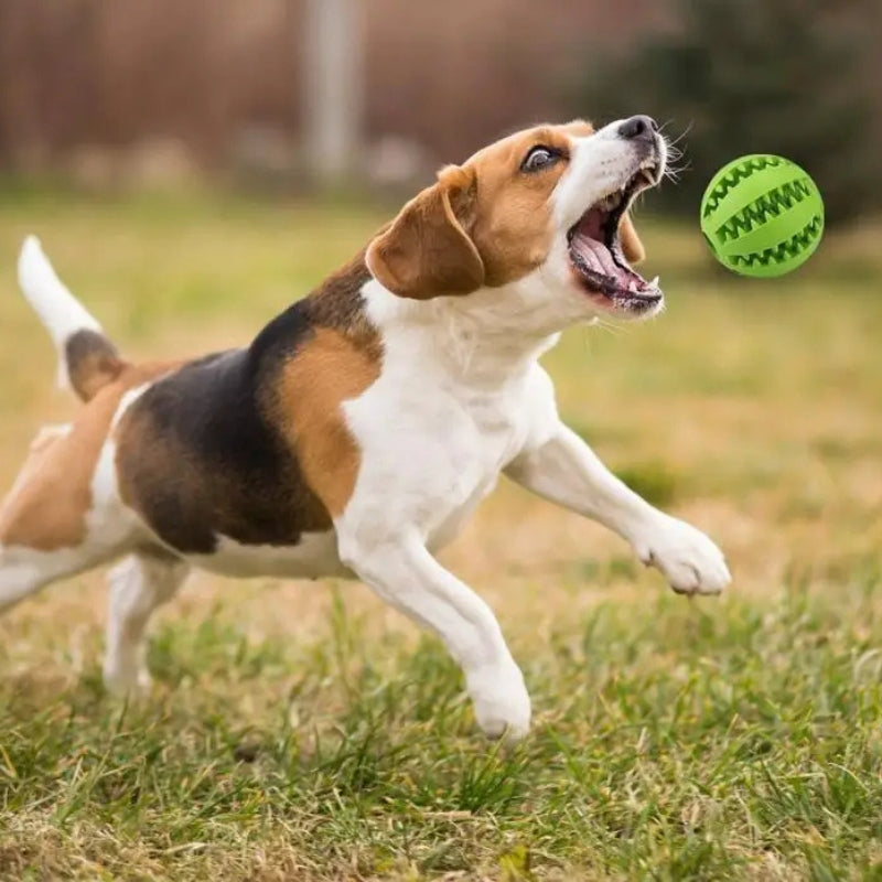 ChewTreat – Giocattolo a Palla per Cani con Erogazione di Cibo e Design Masticabile