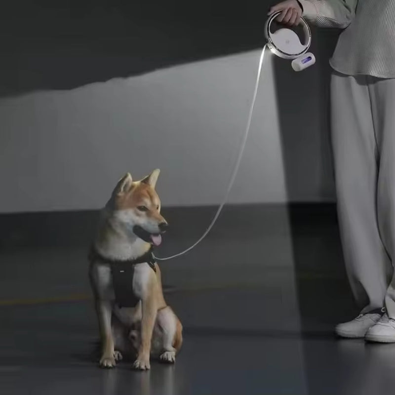 GlowPup – Automatische intrekbare hondenriem met LED-licht