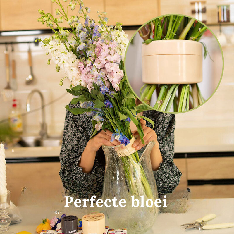 BlossomSpiral porte-fleurs | 1+1 Gratuit