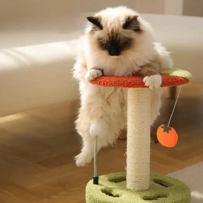 PawTower - Giocattolo per Gatti con Torre per Arrampicarsi e Graffiare