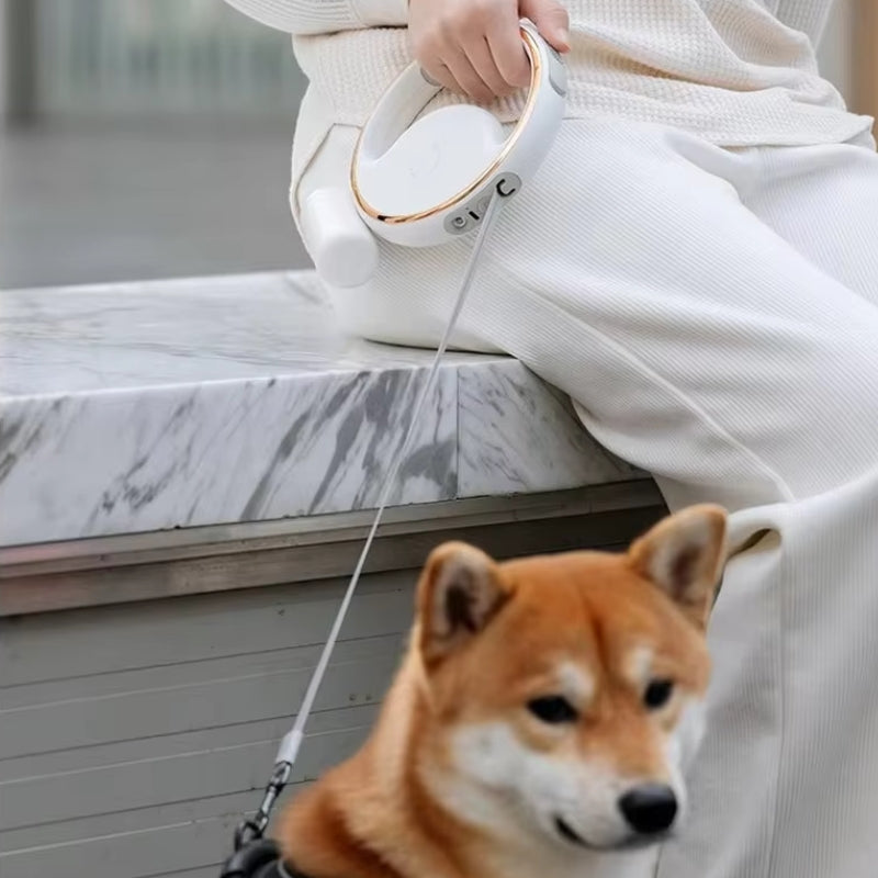 GlowPup – Automatische intrekbare hondenriem met LED-licht