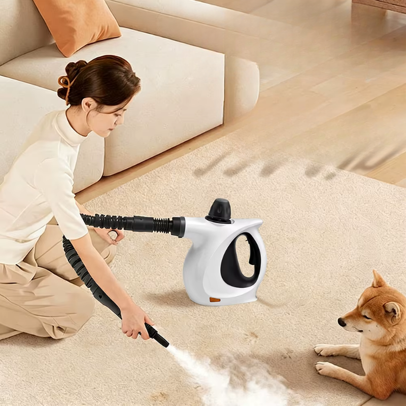 SteamFlex - Handheld Steam Cleaner with 1050W Power