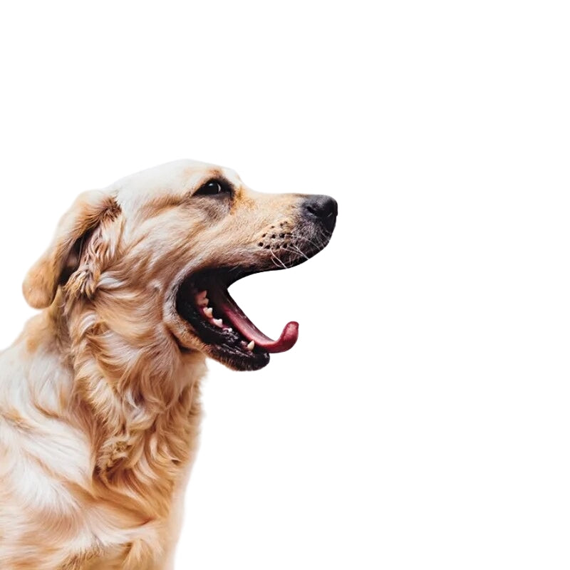 CalmTrim – Elektrische Huisdierentrimmer met Laag Geluidsniveau en Ergonomische Grip