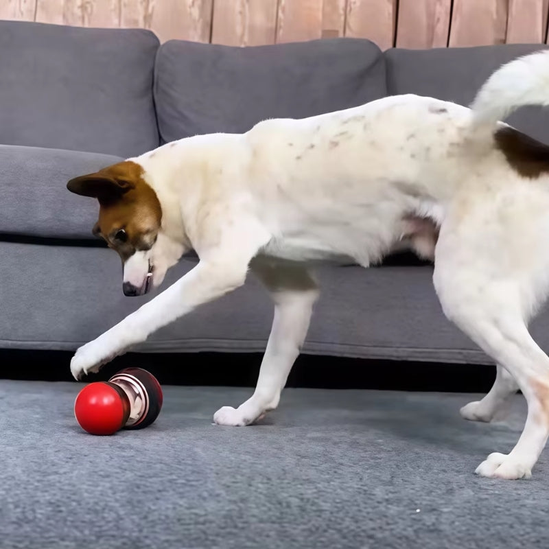 PupReward – Giocattolo per Cani con Erogazione Lenta del Cibo e Design a Doppia Palla