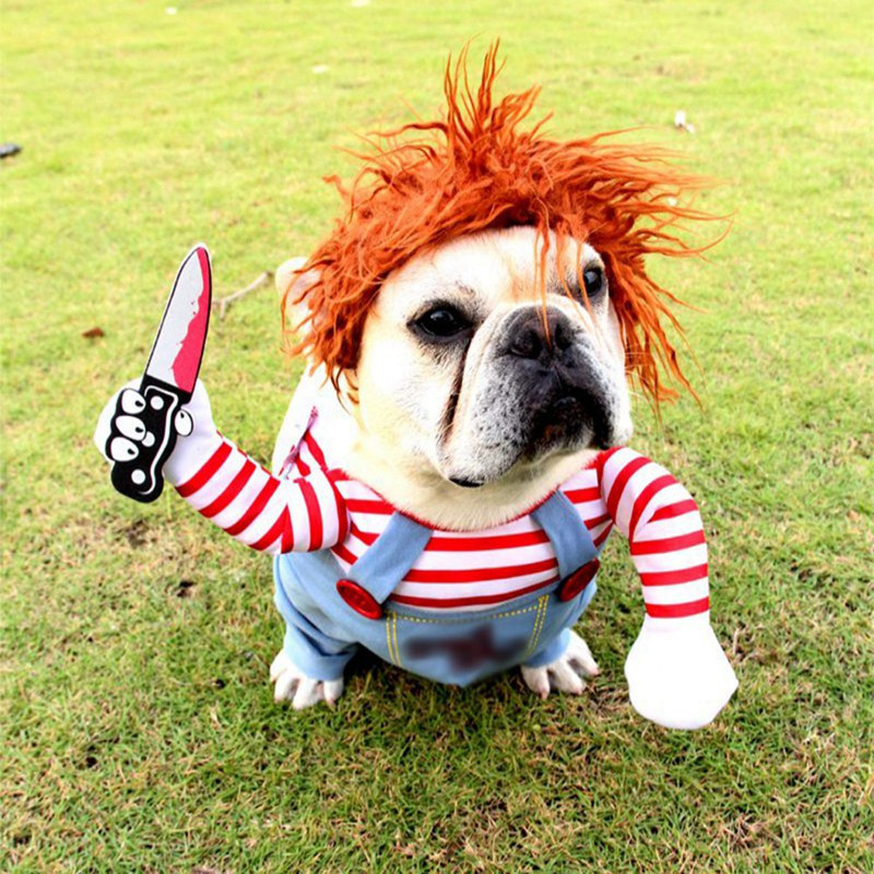 PawfectPlay – Costum amuzant de cosplay pentru câini, costum de cățeluș
