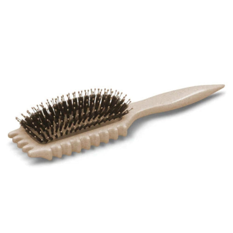 CurlMaster – Brosse coiffante 3 en 1 pour boucles définies et contrôle des frisottis