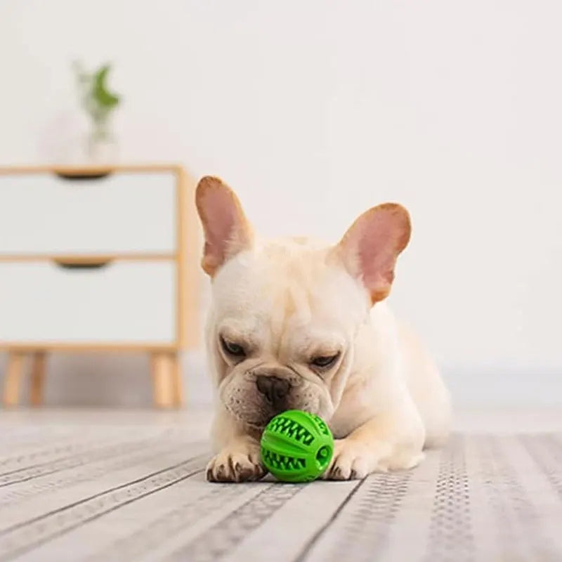 ChewTreat – Giocattolo a Palla per Cani con Erogazione di Cibo e Design Masticabile