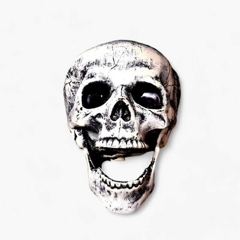 BoneChill - Schelet de Halloween și Decorațiune Cap Uman pentru Petreceri