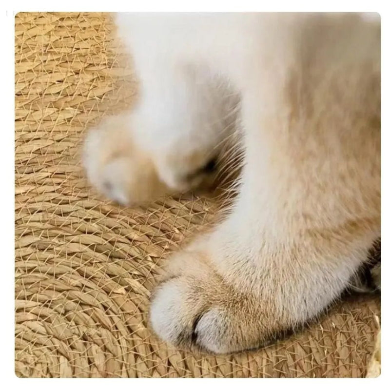 PurrNest – Cesta per gatti intrecciata a mano con cuscino in peluche