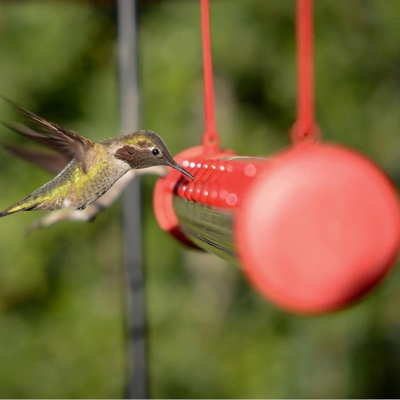 NatureSip – Port Hanging Hummingbird Feeder with Clamp