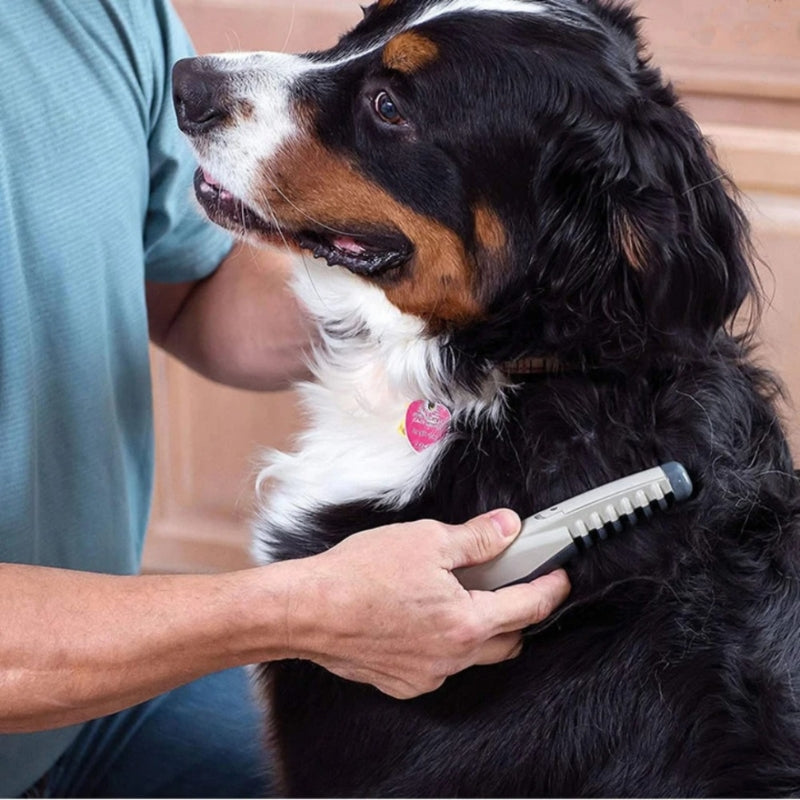 PetGroom – Elektryczna szczotka pielęgnacyjna dla psów i kotów ze stalowymi zębami