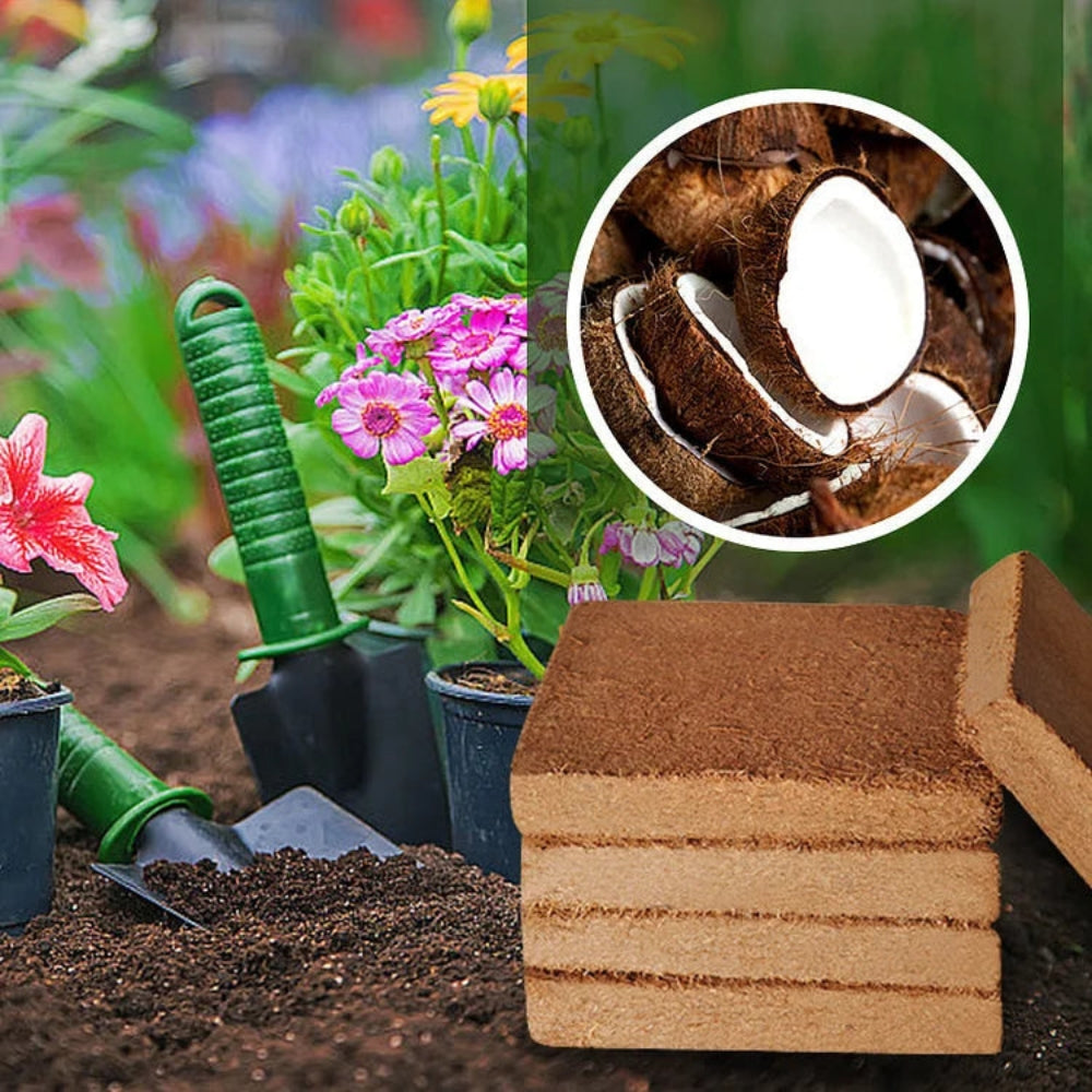 CocoBloom – Kompakt termesztő keverék blokkok természetes megjelenéssel és légies textúrával