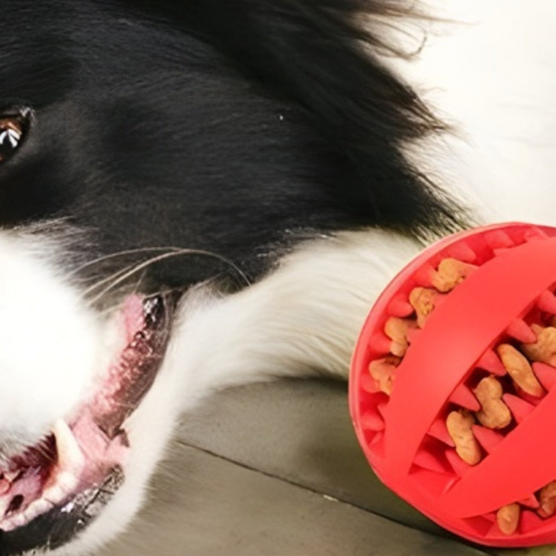 ChewTreat – Giocattolo a Palla per Cani con Erogazione di Cibo e Design Masticabile