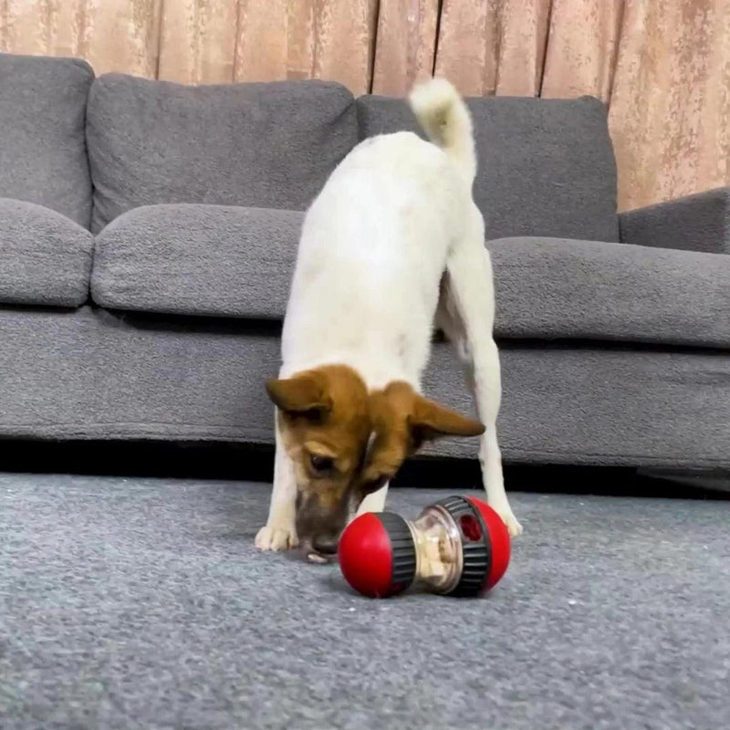 PupReward – Giocattolo per Cani con Erogazione Lenta del Cibo e Design a Doppia Palla