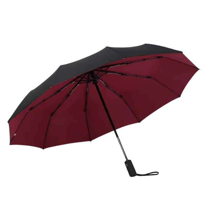 WeatherGuard - Mini Parapluie Coupe-Vent avec Extension à Un Clic