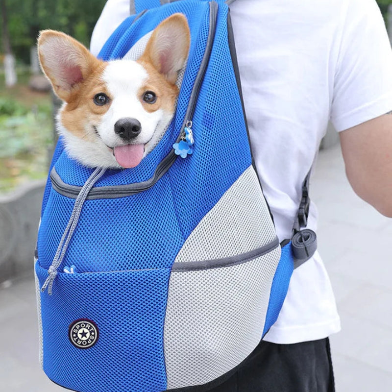 AdventurePaws - Sac à dos d'aventure pour animaux de compagnie, pour sorties et confort