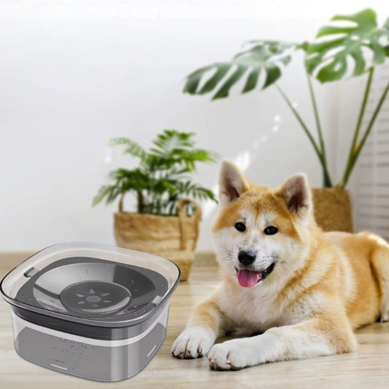 AquaPet – Ciotola per Animali con Disco Galleggiante Rimovibile