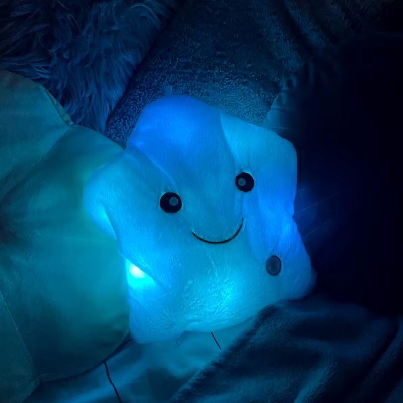 Mother’s Day Gift | Luminous Pillow Toy with Creative Design