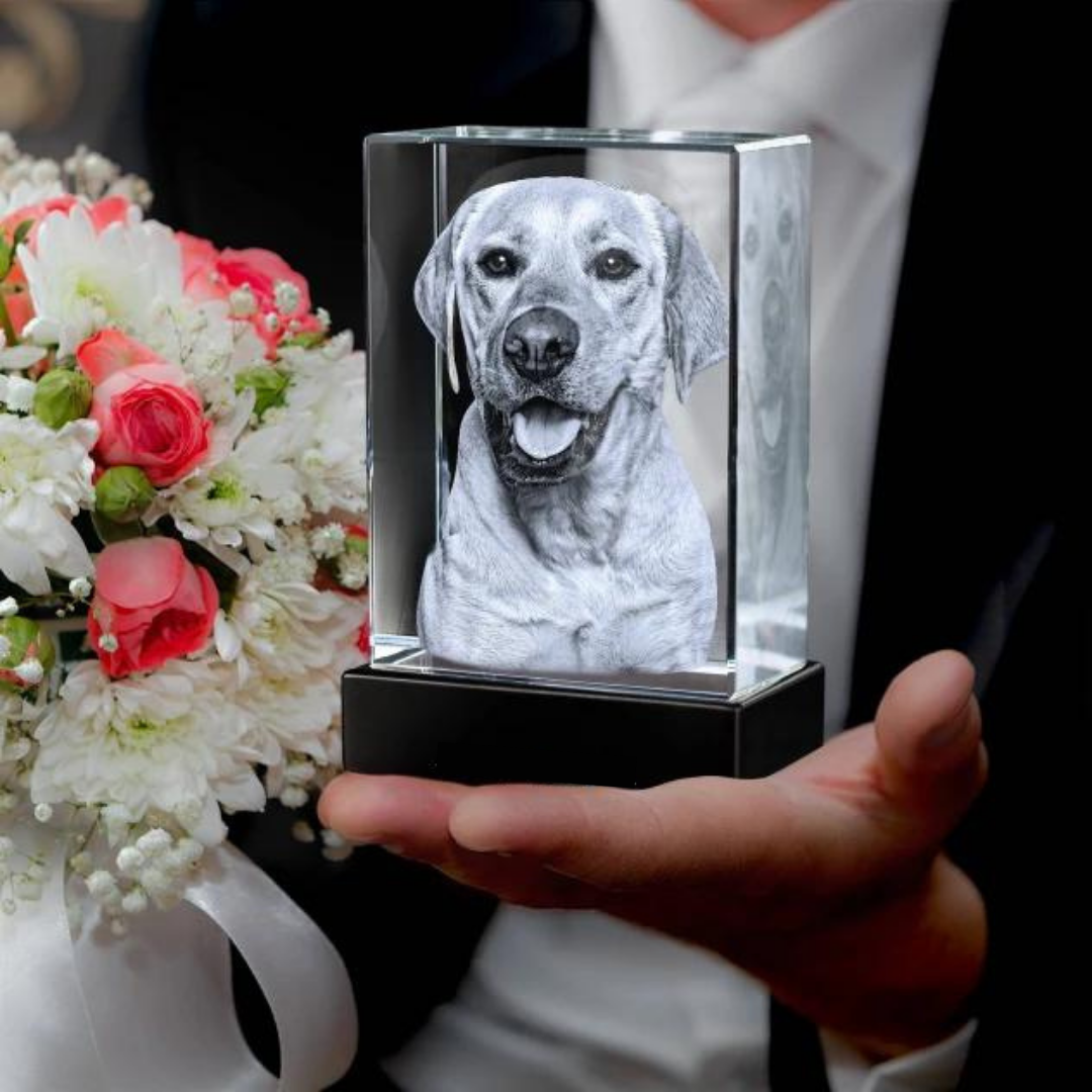 MemoryPic - Trasforma le tue foto preferite in splendide opere d’arte