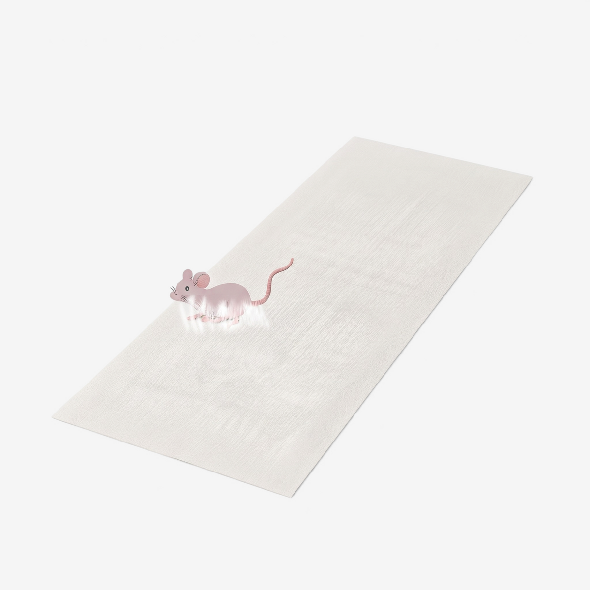 GlueGuard – Armadilha adesiva transparente com cola forte