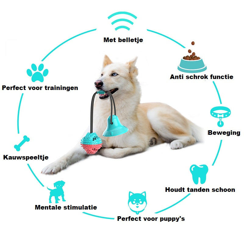 PawPro - Gioco interattivo a palla con ventosa per cani energici