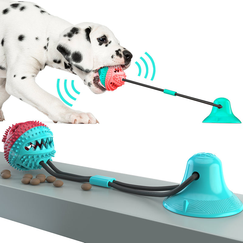 PawPro - Gioco interattivo a palla con ventosa per cani energici