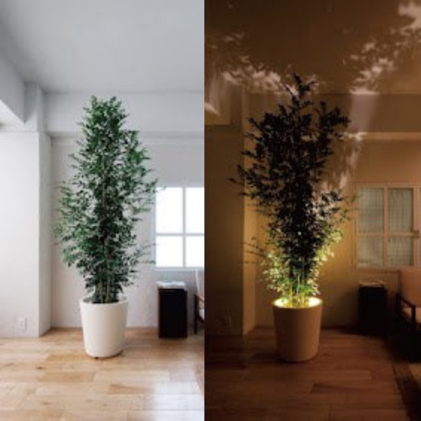 VivaGlow - Elegancka lampa projektorowa z regulowaną ostrością i nowoczesnym designem