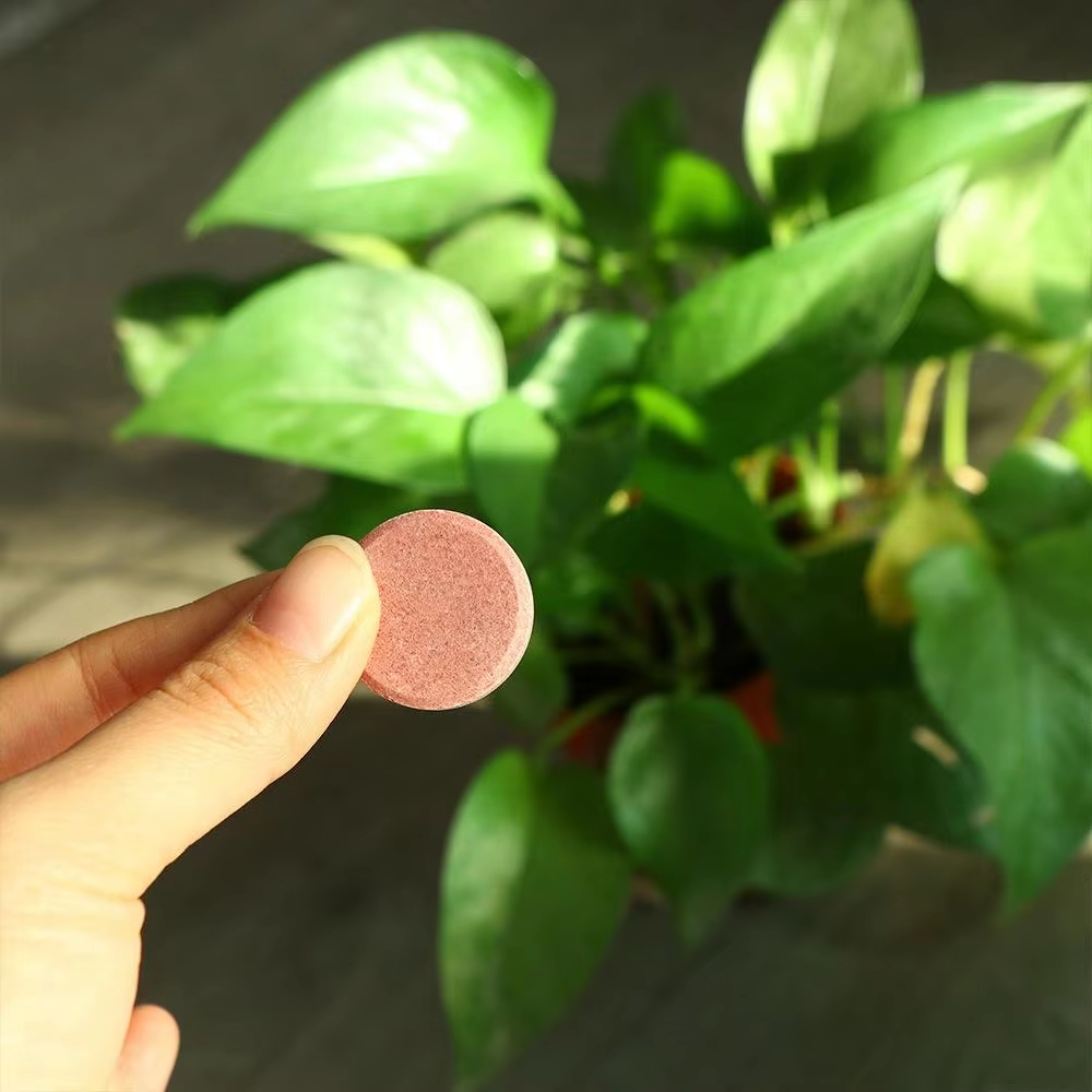 Floragro - Pastiglie di fertilizzante organico a rilascio lento per piante in vaso |