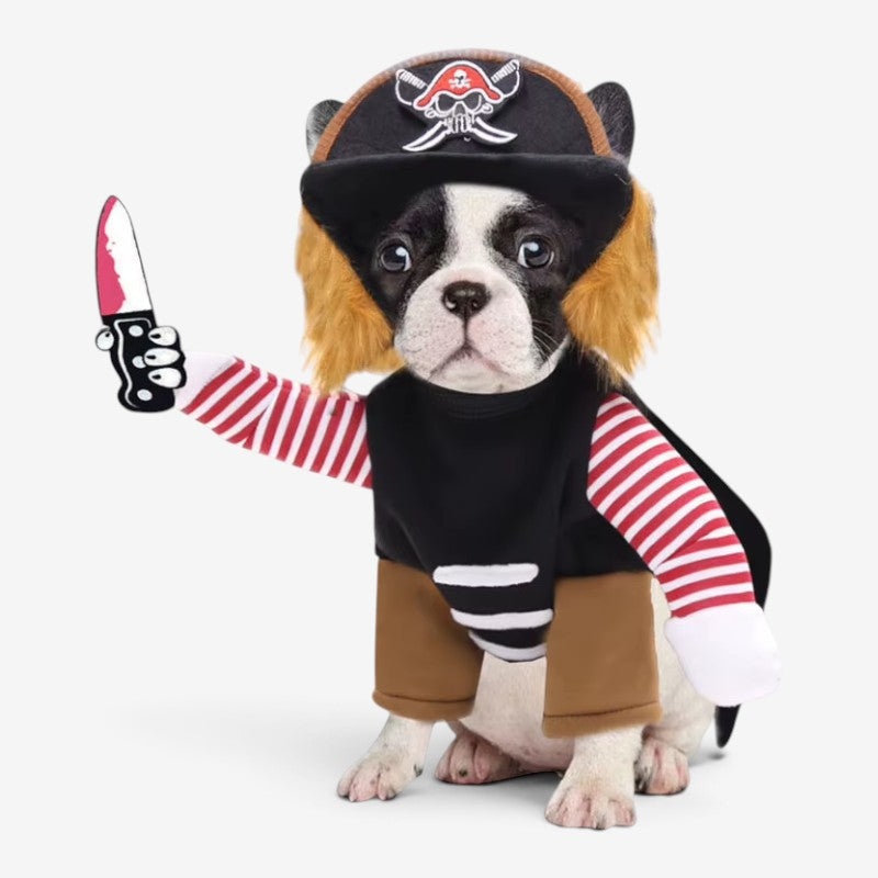 CaptainPaw – kostým pirátského psa na Halloween