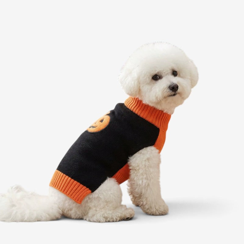 PumpkinPaw - Halloween Pumpkin Dog Sweater