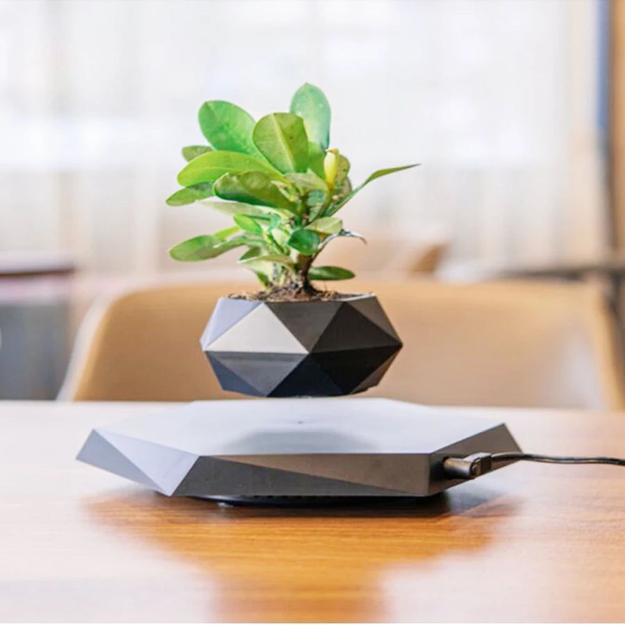 OrbitGrow - Futuristic floating planter with a fascinating 360° rotation
