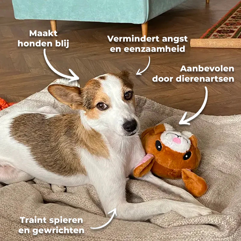 PawsPlay™ -Interactieve Honden SpeelBal