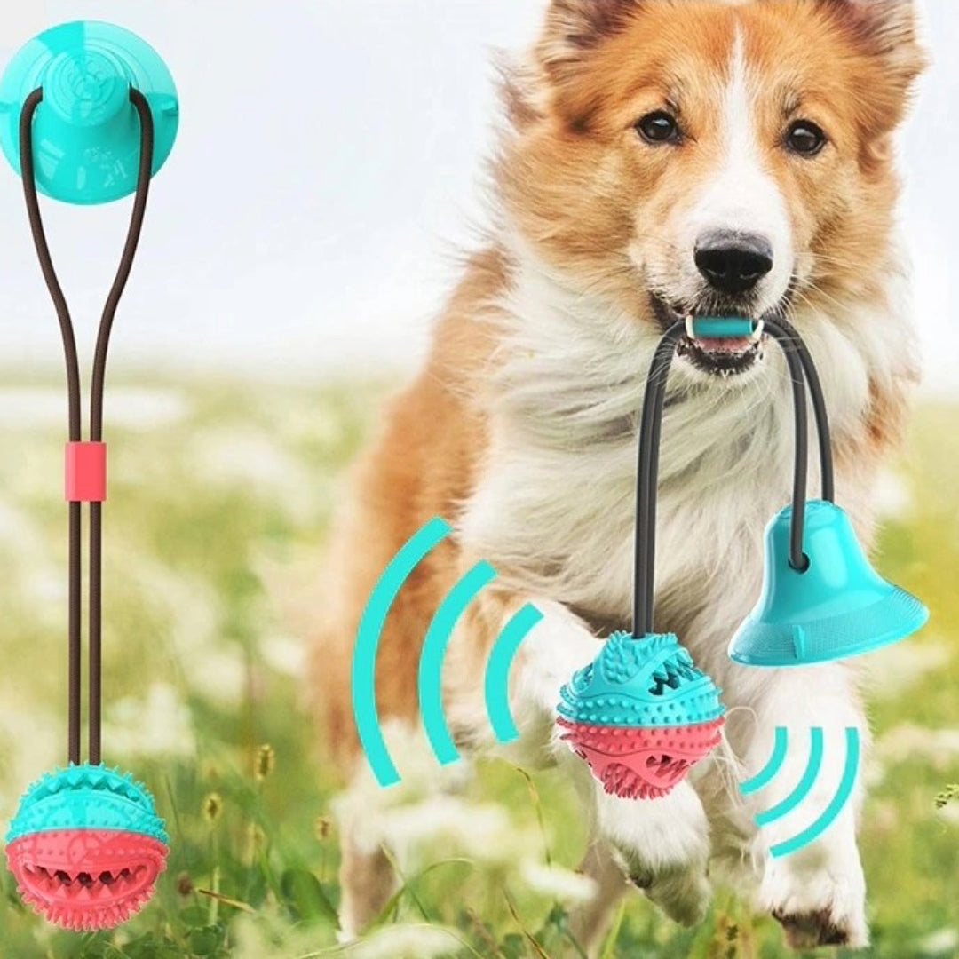 PawPro - Gioco interattivo a palla con ventosa per cani energici