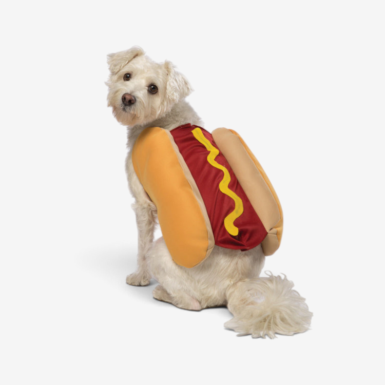 BarkBite – kostým hot dogu pro psy s veselým designem