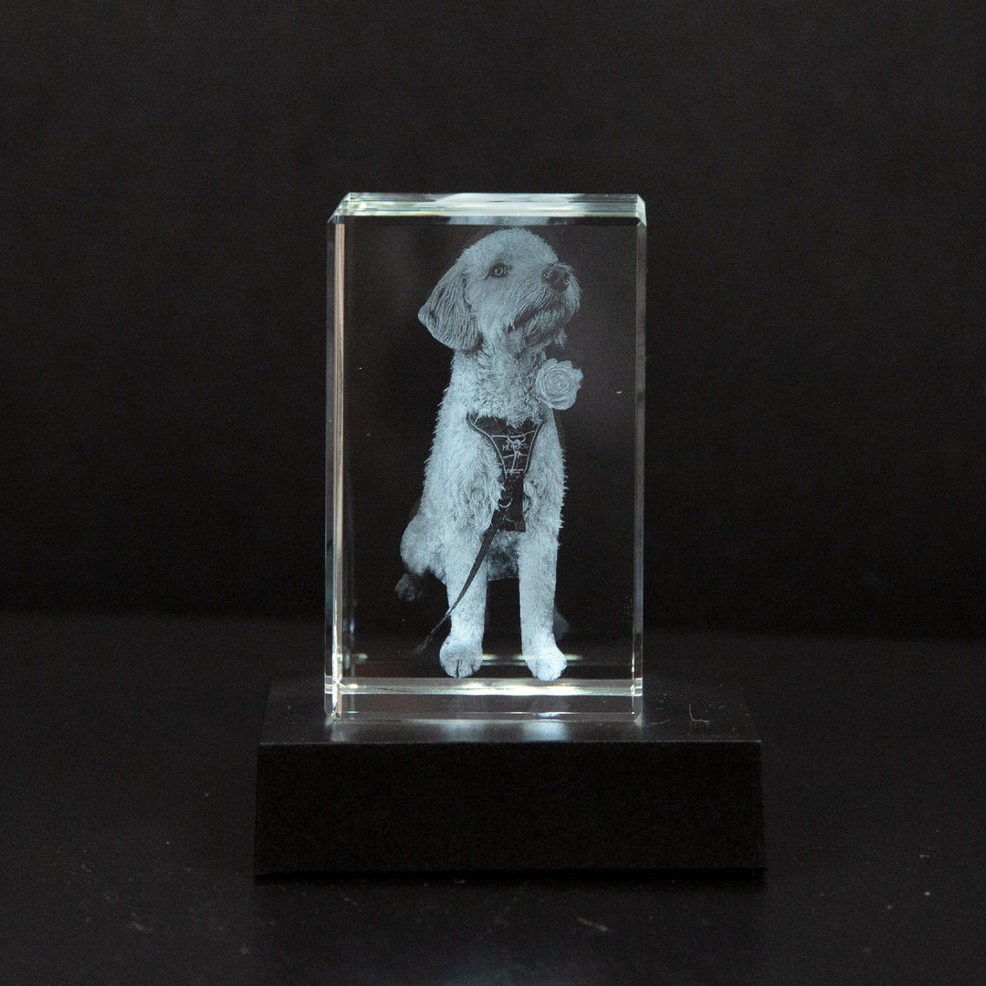 MemoryPic - Trasforma le tue foto preferite in splendide opere d’arte