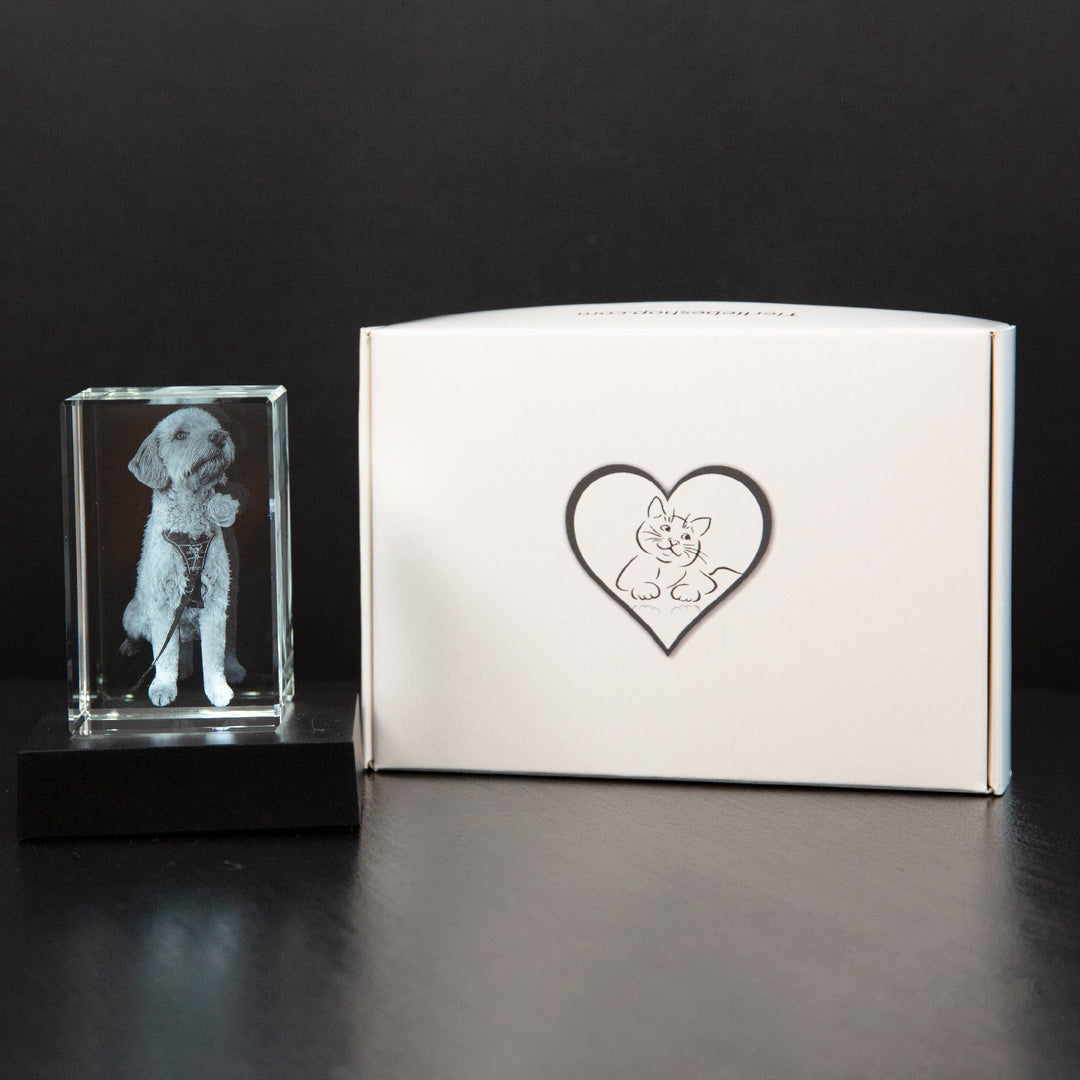 MemoryPic - Trasforma le tue foto preferite in splendide opere d’arte