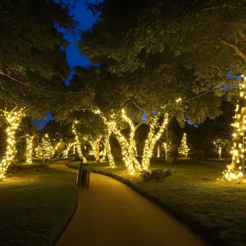 Catena luminosa solare a LED - Luci a stringa solari a LED con grado di impermeabilità IP65