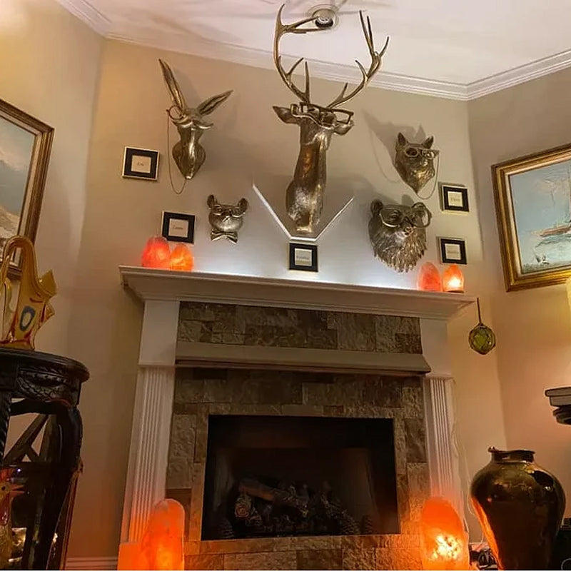 AnimalCraft - Moderní socha zvířecí hlavy pro elegantní interiéry