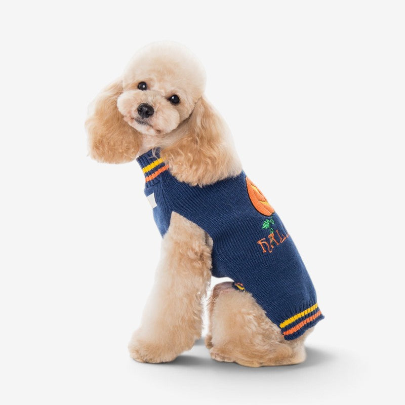 PumpkinPaw - Halloween Pumpkin Dog Sweater