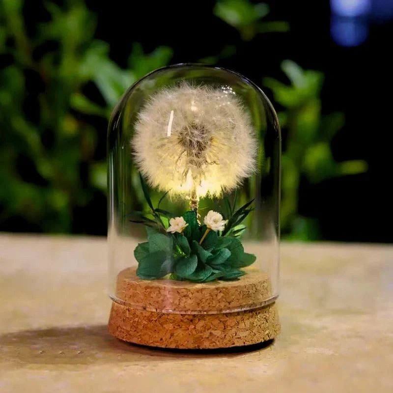 Florabloom - Candeeiro de cúpula de vidro com flores secas preservadas