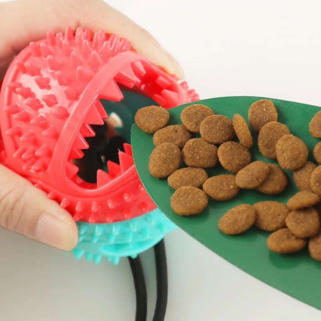 PawPro - Gioco interattivo a palla con ventosa per cani energici
