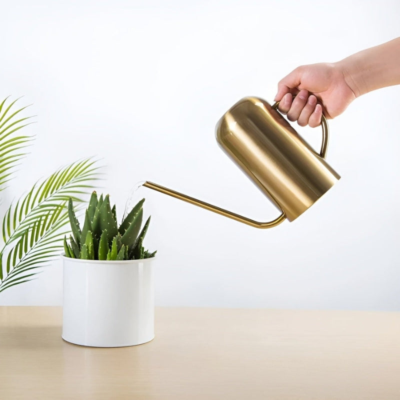 AquaBloom – Arrosoir en acier inoxydable avec long bec