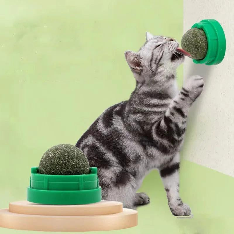 PawSphere – Cat Toy with Wall Mount and Movable Ball Design