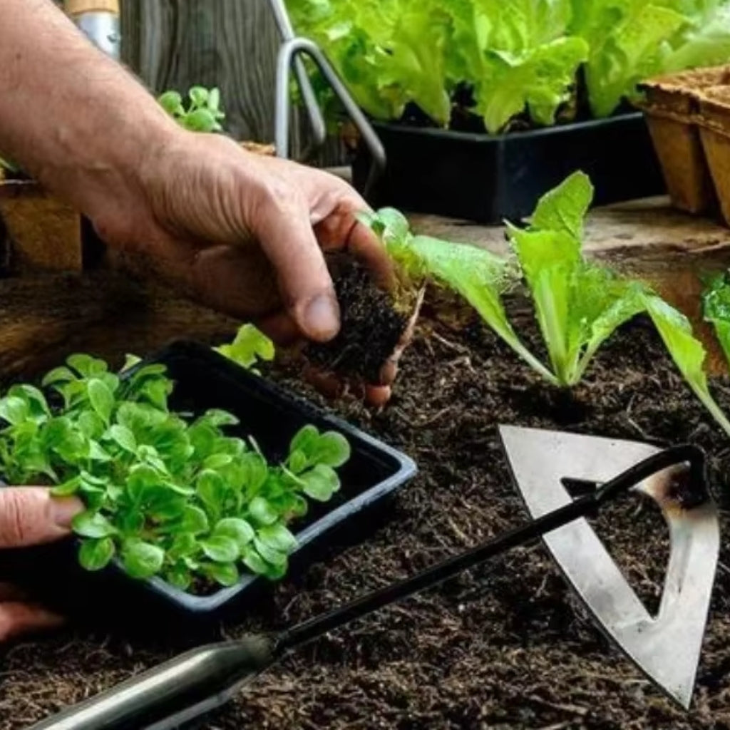 WeedMaster - Garden Tool with Hollow Blade for Effective Weed Removal