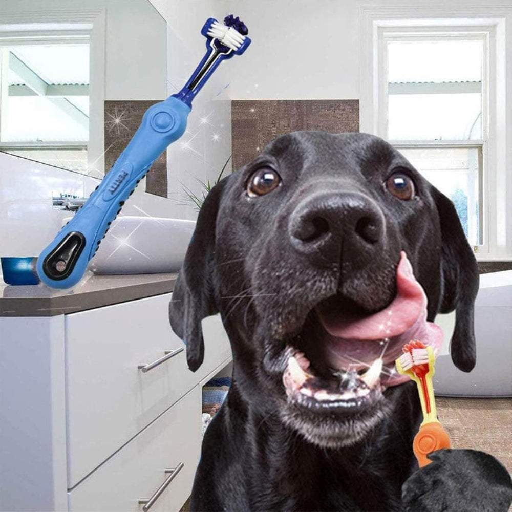 PawBright - Three-headed pet toothbrush for fresh breath and clean teeth