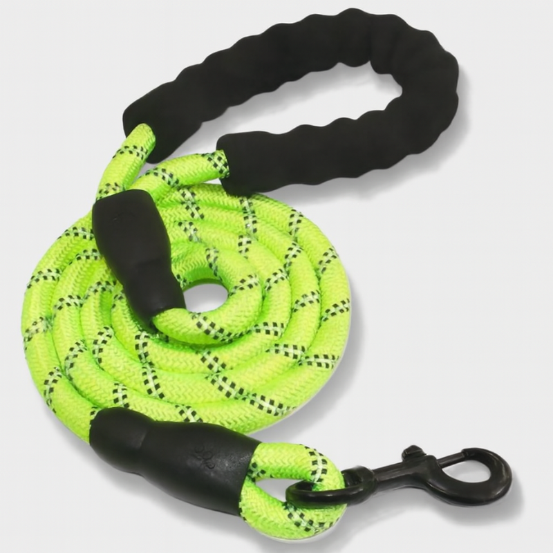 MaxGuard – Reflective Dog Leash with Padded Handle