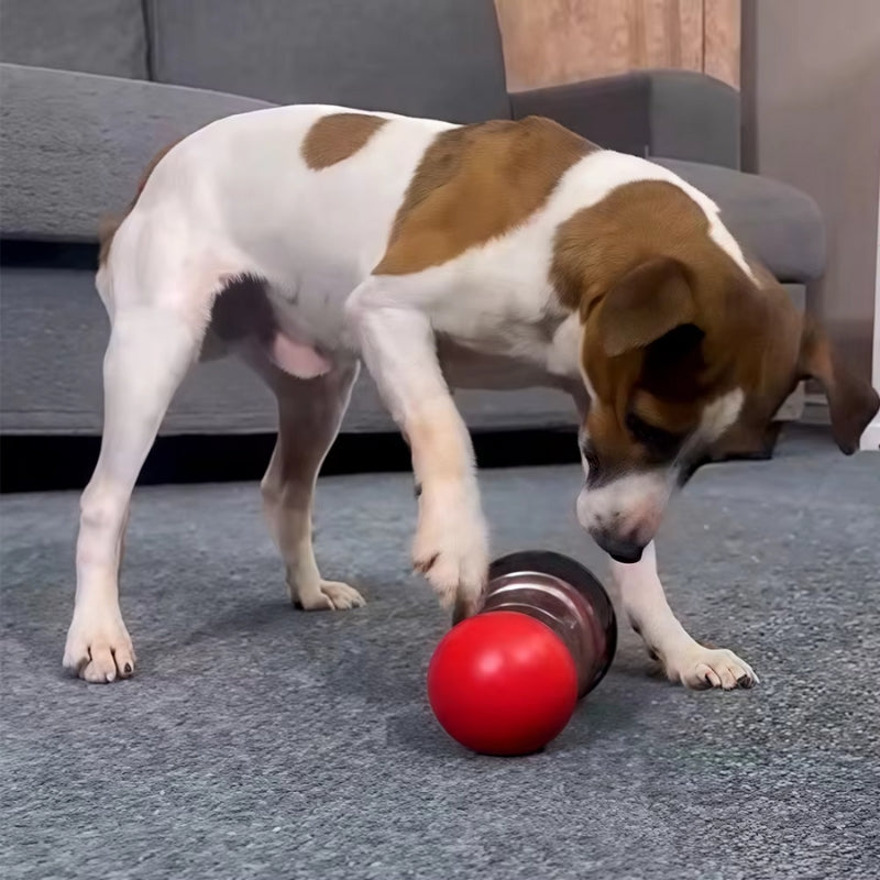 PupReward – Giocattolo per Cani con Erogazione Lenta del Cibo e Design a Doppia Palla