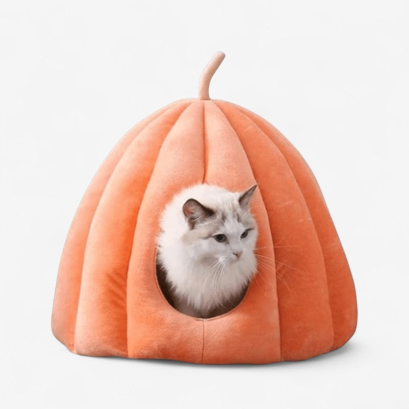 CozyPaw – Maison pour Chats Inspirée de la Citrouille